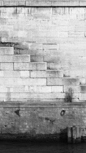 蜘蛛池1号跑了截图3