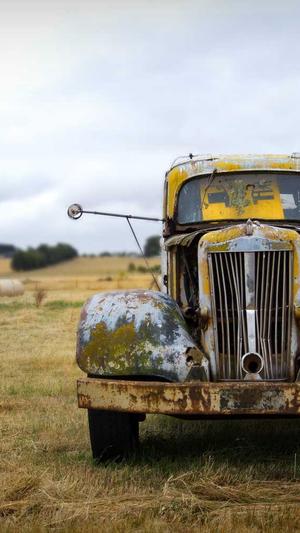 千站云蜘蛛池安装方法截图3