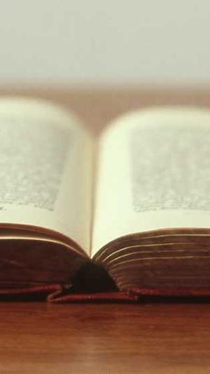 seo排名工具哪家好截图3