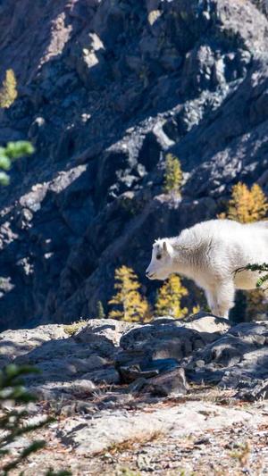 seo网站排名优化工具截图5