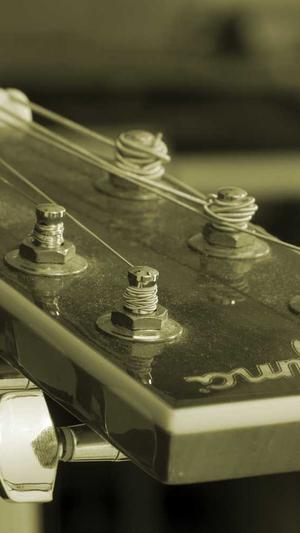 超级蜘蛛池域名在哪截图1