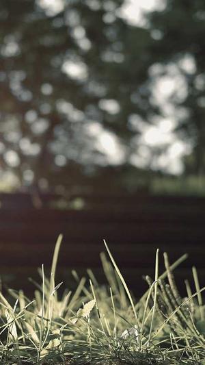 蜘蛛池搭建要求高吗截图1