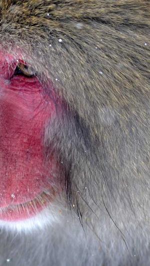 网站seo优化排名工具截图2