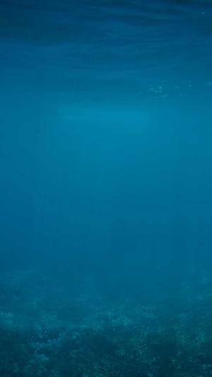 蜘蛛池对排名有用吗截图2