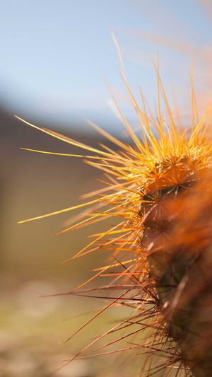 商务网站建设教程截图2