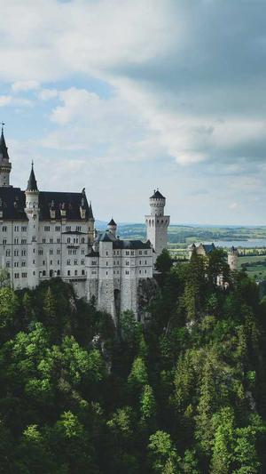 江西蜘蛛池出租服务截图2