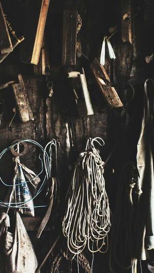 西宁seo优化截图2