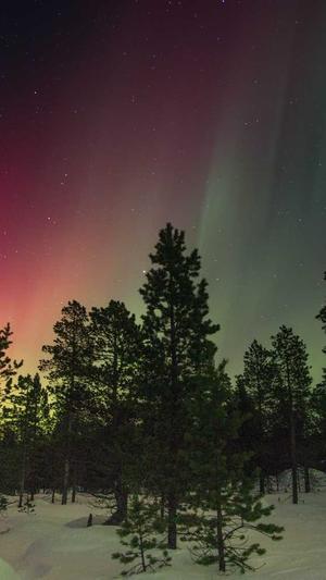 江阴网站建设截图2