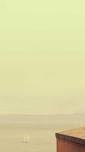 SEO网页综合查询工具截图4