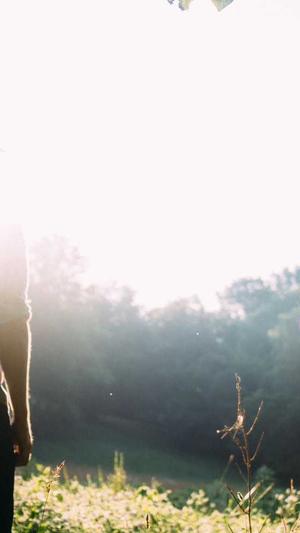 大庆seo优化截图1