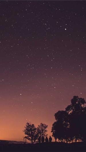 小旋风泛目录安装截图1