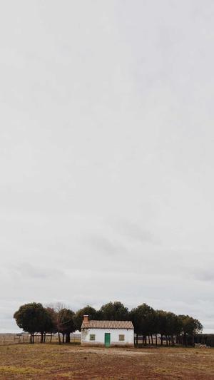 seo黑帽工具截图1