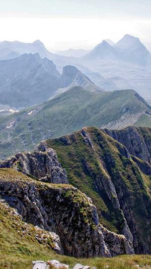 爱情岛站长工具seo综合查询截图5