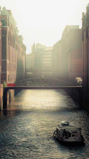 狼雨seo教程截图4