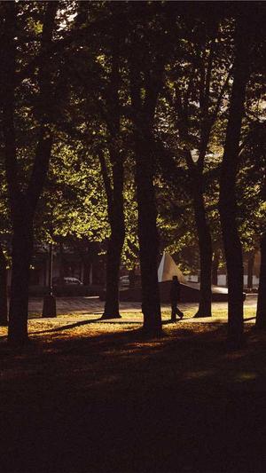 seo排名优化软件截图3