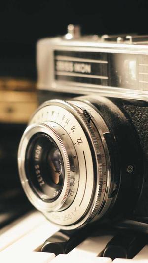 政府网站 建设截图3