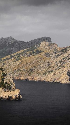 seo网站设计截图1