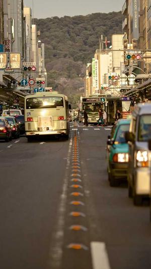 彩云贝seo查询工具截图4