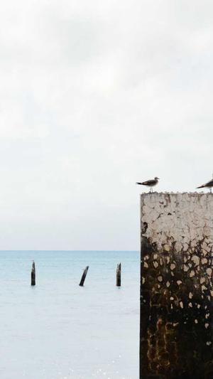 超级蜘蛛池效果怎样截图2