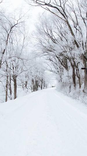 蜘蛛池和shell截图3