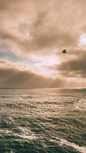 seo点击工具价格截图1