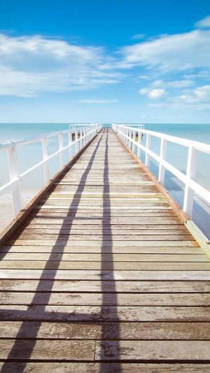 泛站群_零距离泛目录截图2