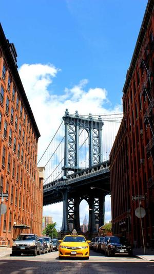 宝山网站建设截图2