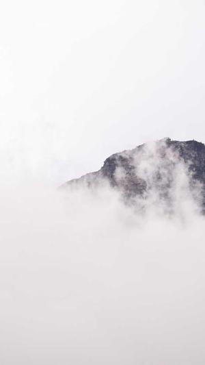 SEO入门教程截图2