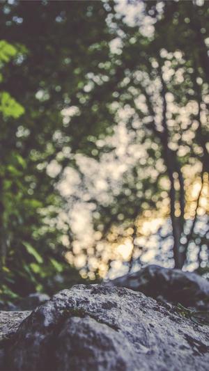 阿里蜘蛛池设置截图4