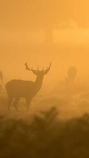 泛目录网站大全截图1
