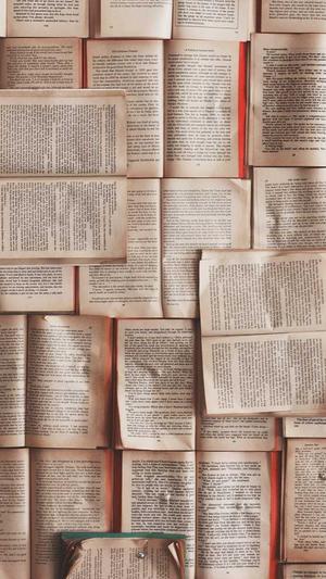 蜘蛛池1号跑了截图2