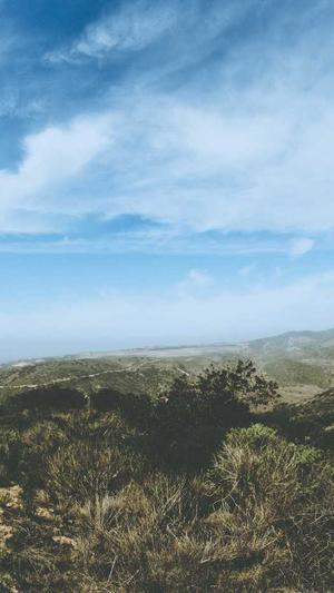 上海蜘蛛池出租截图1