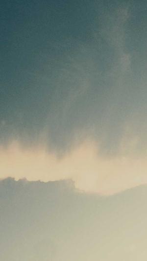 神马蜘蛛池租用多少钱截图1