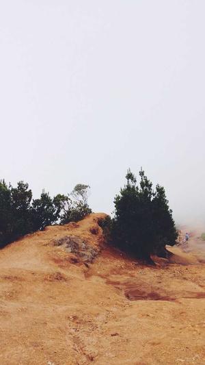 seo排名优化软件截图5