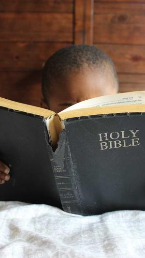 网站建设前的功能截图3