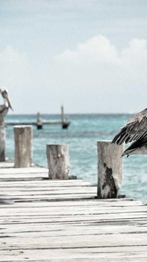 仙桃网站建设截图3