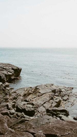 站内seo推广蜘蛛池截图1