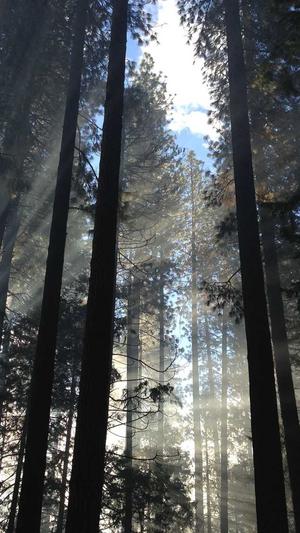 彩云贝seo查询工具截图1