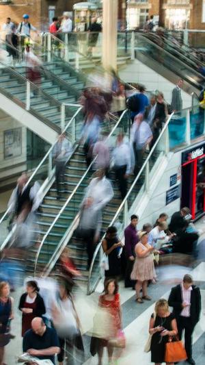 什么蜘蛛池比较好截图3