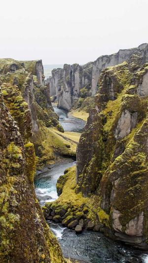 seo搜索引擎营销工具截图4