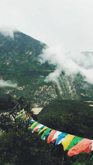 厦门网站建设截图3