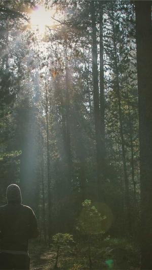 番禺网站建设截图1