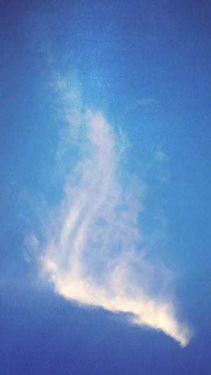 反向代理泛目录截图3