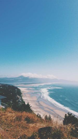 seo经验分享截图3