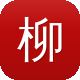 柳州seo图标